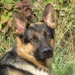 Meet your Posher, Valerie